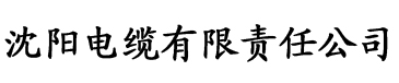 亚洲v欧美v日韩v中文字幕电缆厂logo